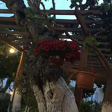 The Bunch Of Grapes Inn Pissouri Exterior photo