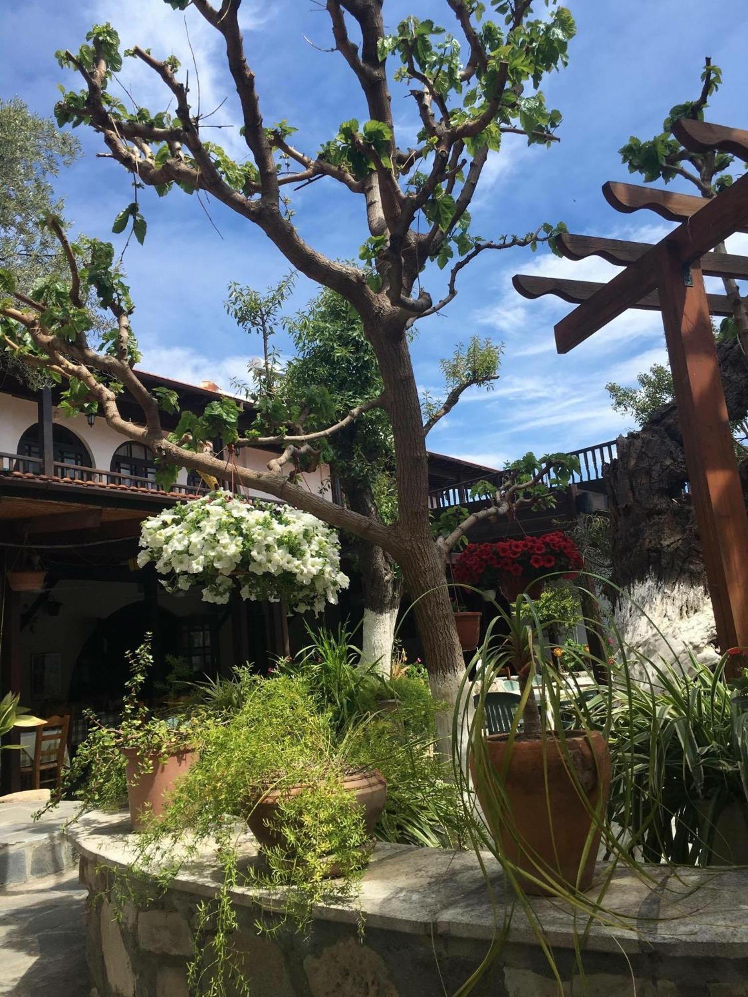 The Bunch Of Grapes Inn Pissouri Exterior photo