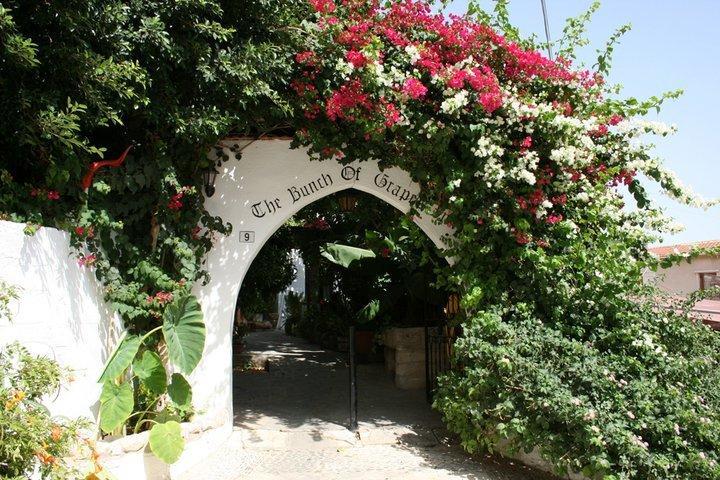 The Bunch Of Grapes Inn Pissouri Exterior photo